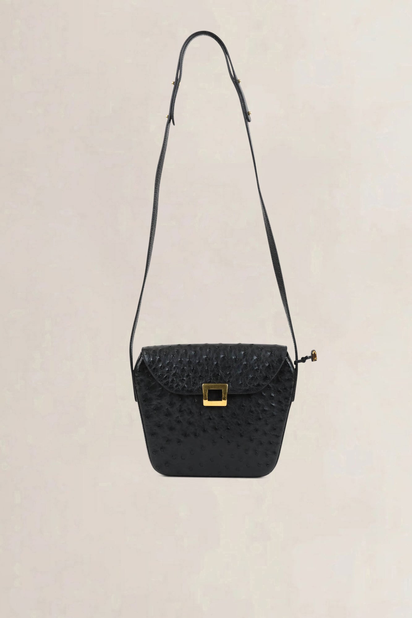 Delvaux Black Amité Ostrich Crossbody Bag