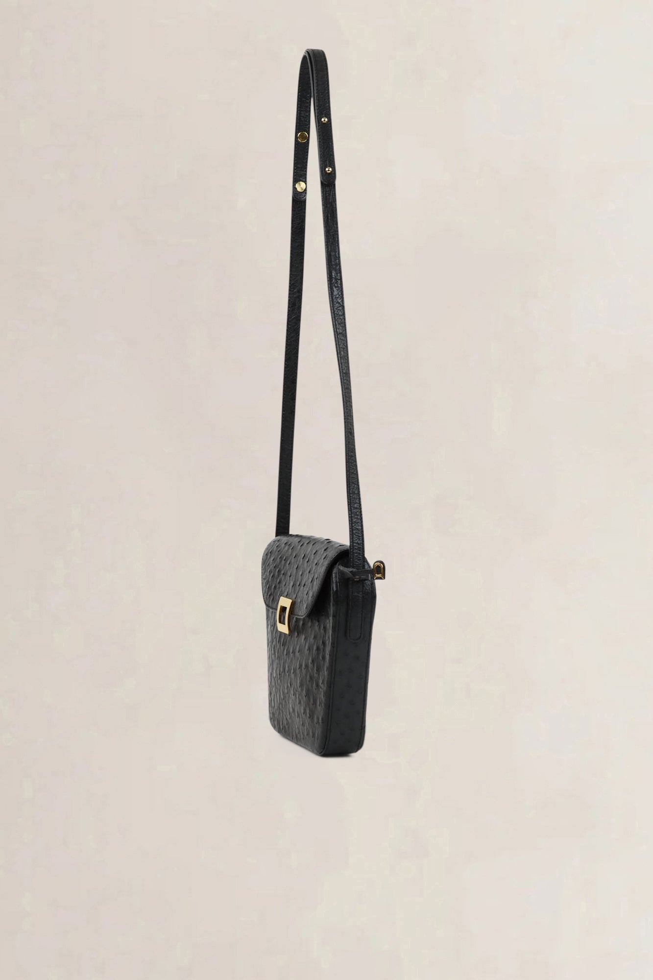 Delvaux Black Amité Ostrich Crossbody Bag