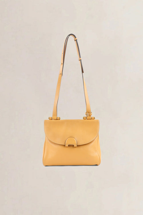 Delvaux Mustard Yellow Jumping Calf Chablis Crossbody Bag