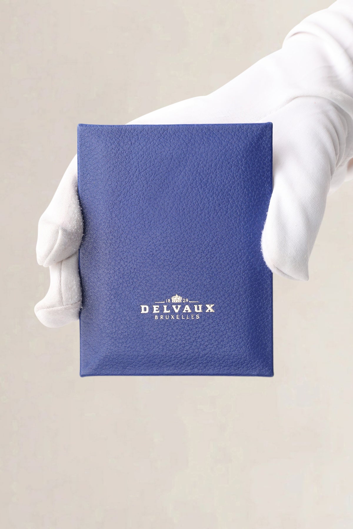Delvaux Blue Two-Tone Fuiraire Mini Crossbody Bag