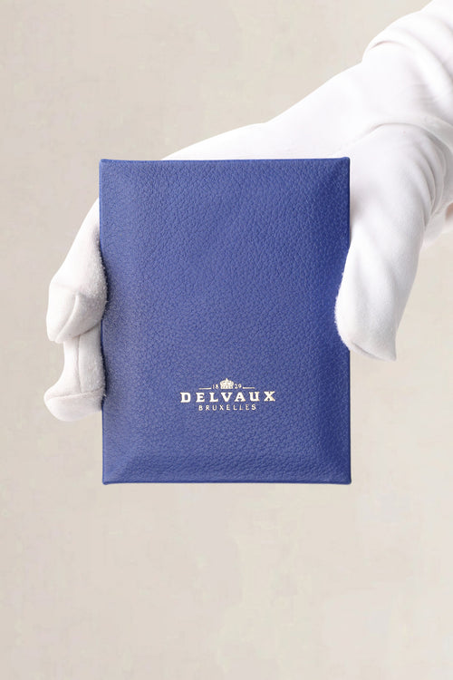 Delvaux Blue Two-Tone Fuiraire Mini Crossbody Bag