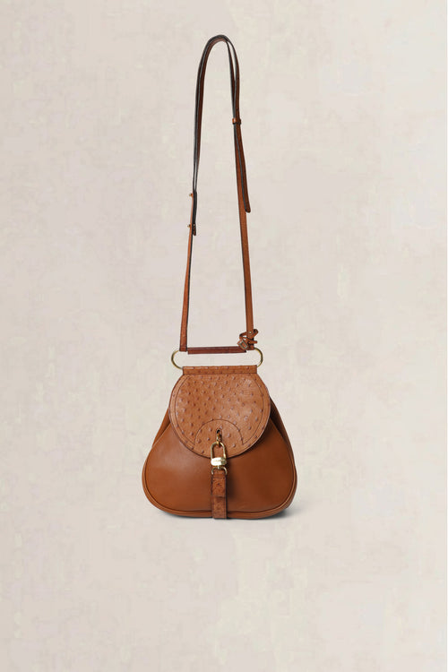 Delvaux Cognac Cerceau Ostrich PM Crossbody Bag