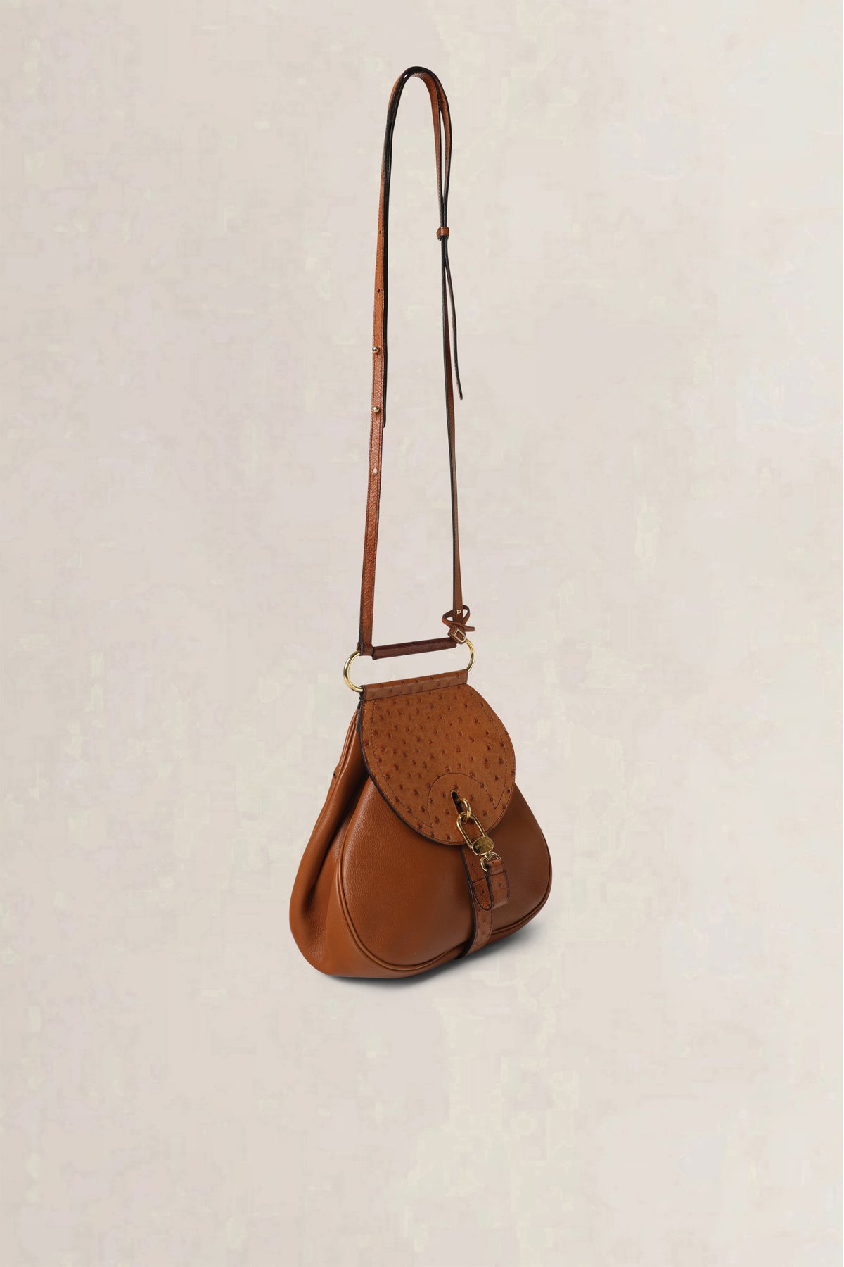 Delvaux Cognac Cerceau Ostrich PM — vintage