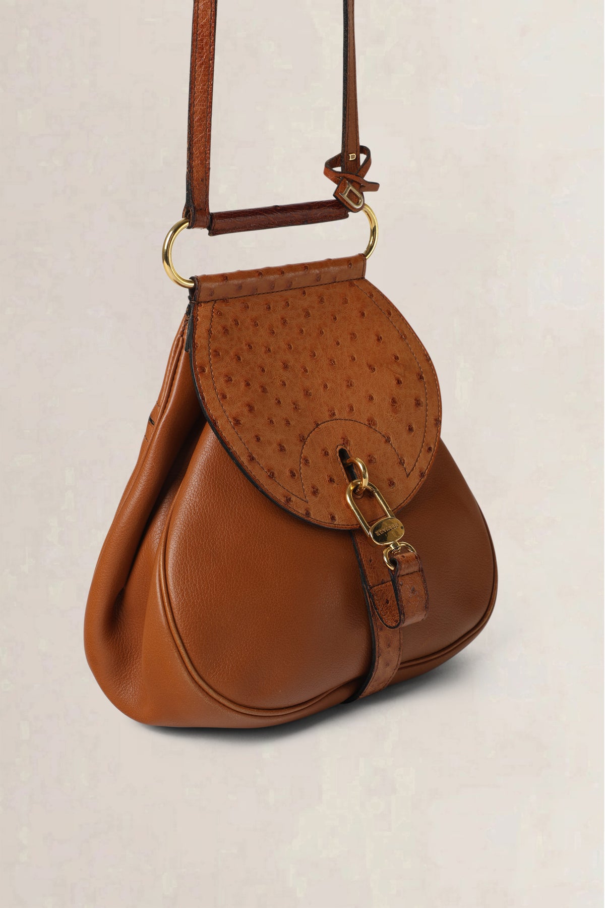 Delvaux Cognac Cerceau Ostrich PM Crossbody Bag