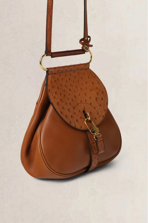 Delvaux Cognac Cerceau Ostrich PM Crossbody Bag