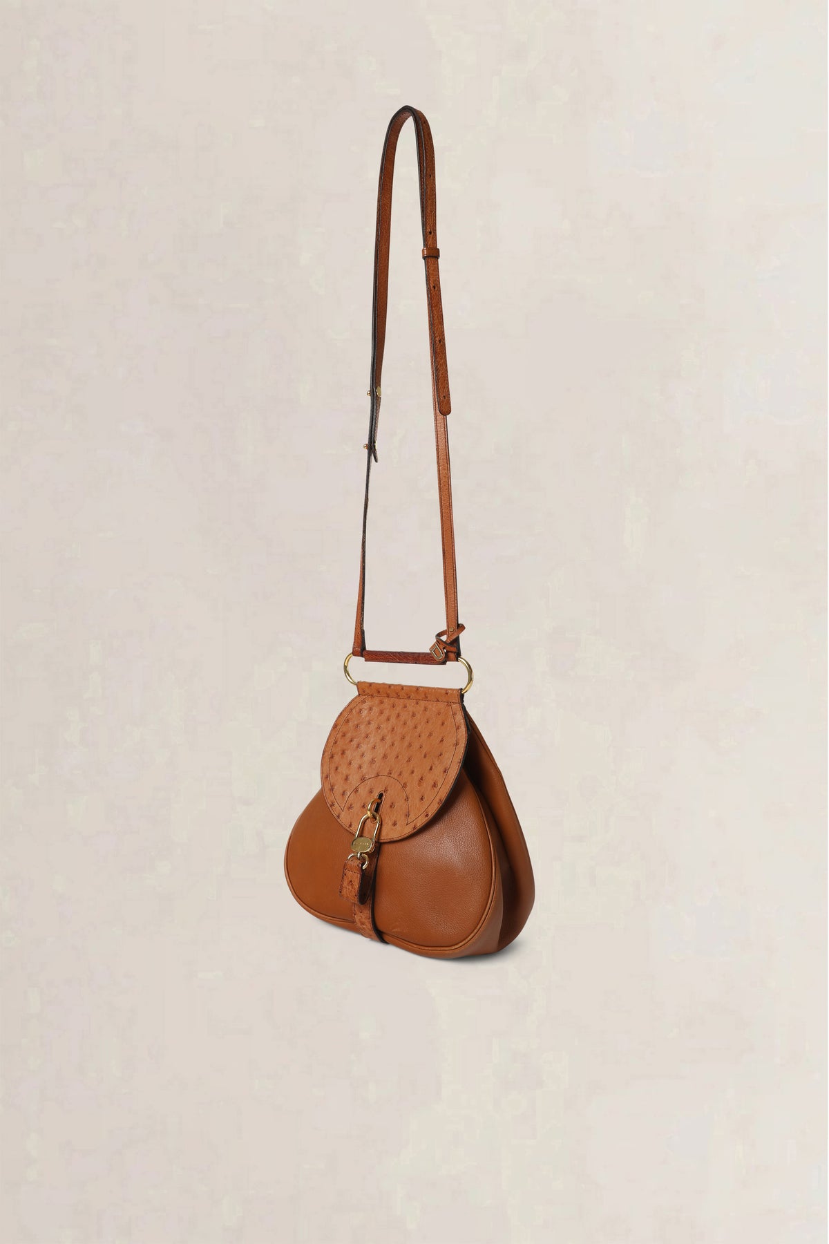 Delvaux Cognac Cerceau Ostrich PM Crossbody Bag