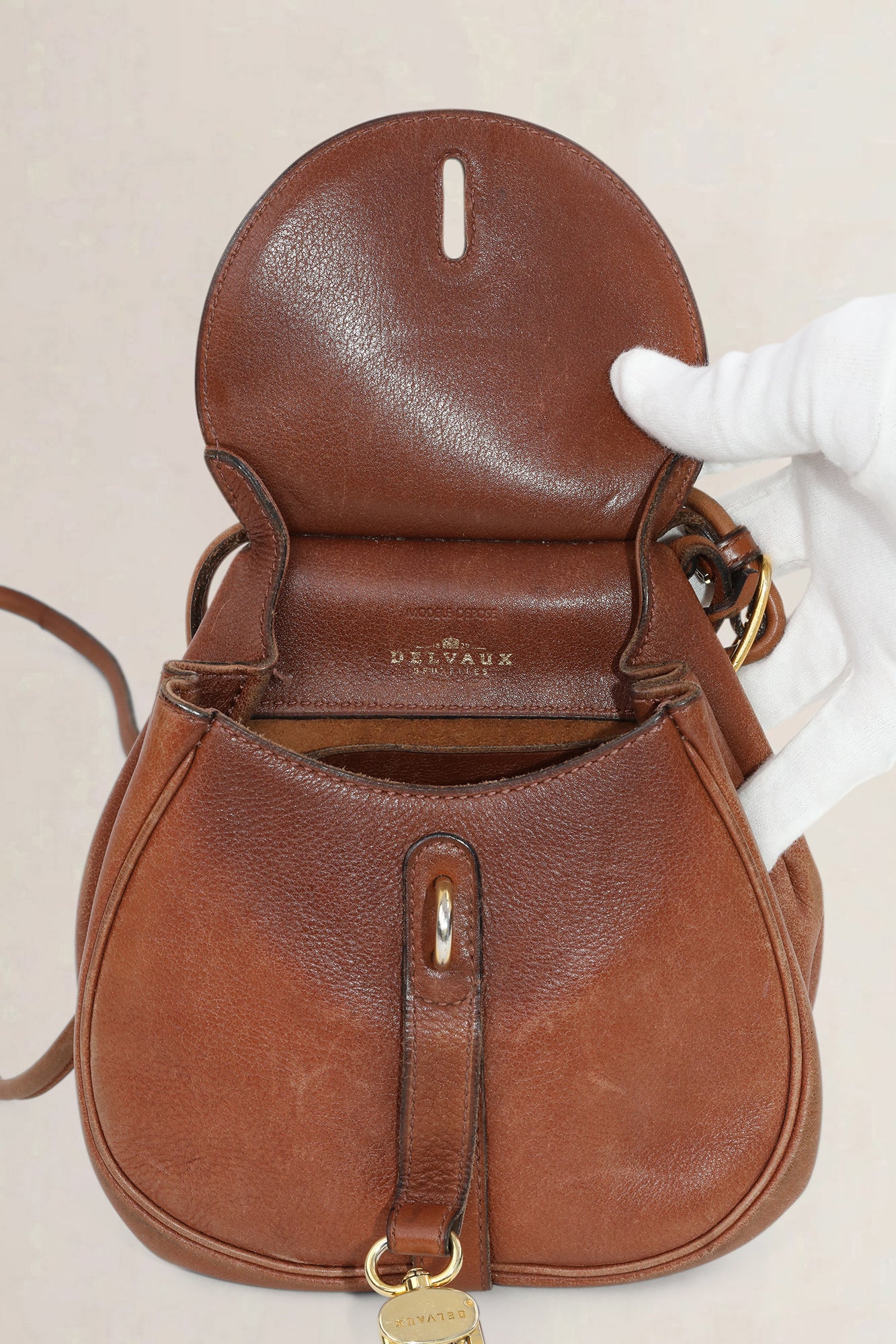 Delvaux Camel Cerceau PM Crossbody Bag