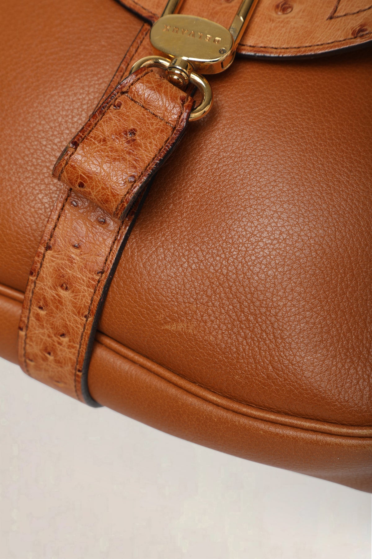 Delvaux Cognac Cerceau Ostrich PM — vintage