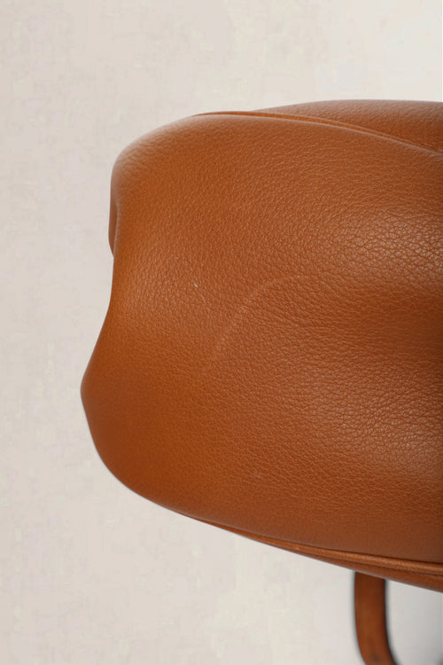 Delvaux Cognac Cerceau Ostrich PM Crossbody Bag