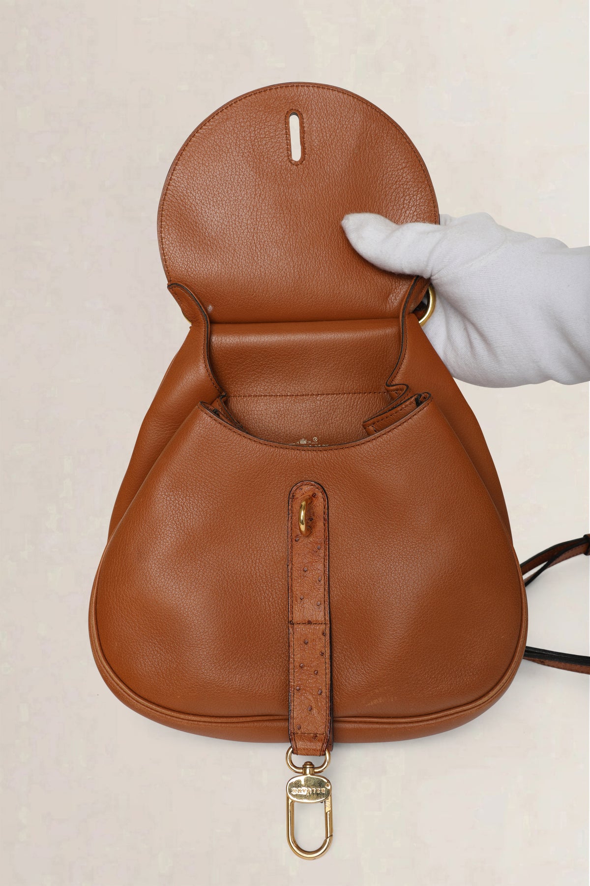 Delvaux Cognac Cerceau Ostrich PM — vintage