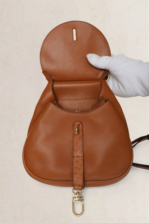 Delvaux Cognac Cerceau Ostrich PM Crossbody Bag