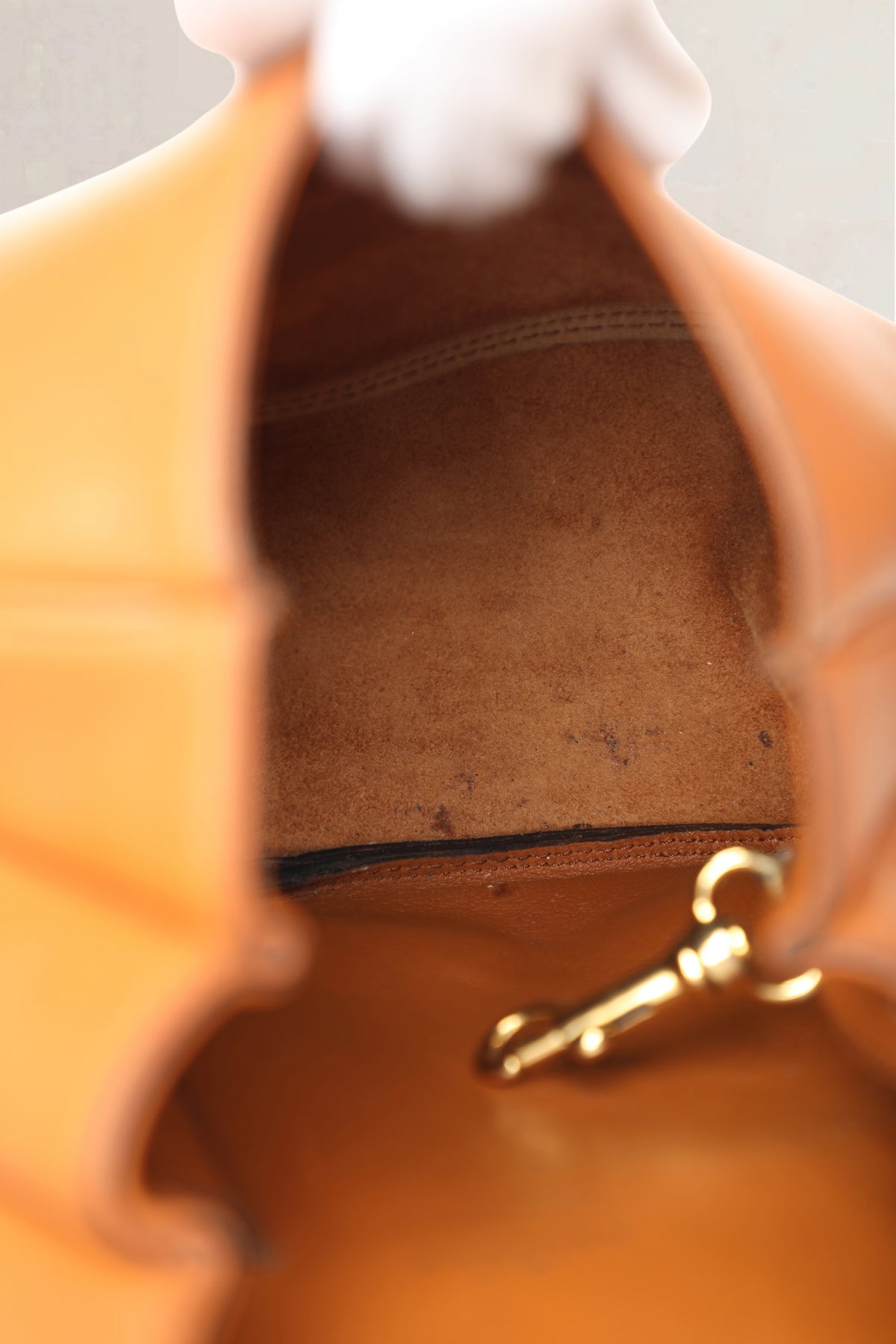 Delvaux Cognac Cerceau Ostrich PM Crossbody Bag