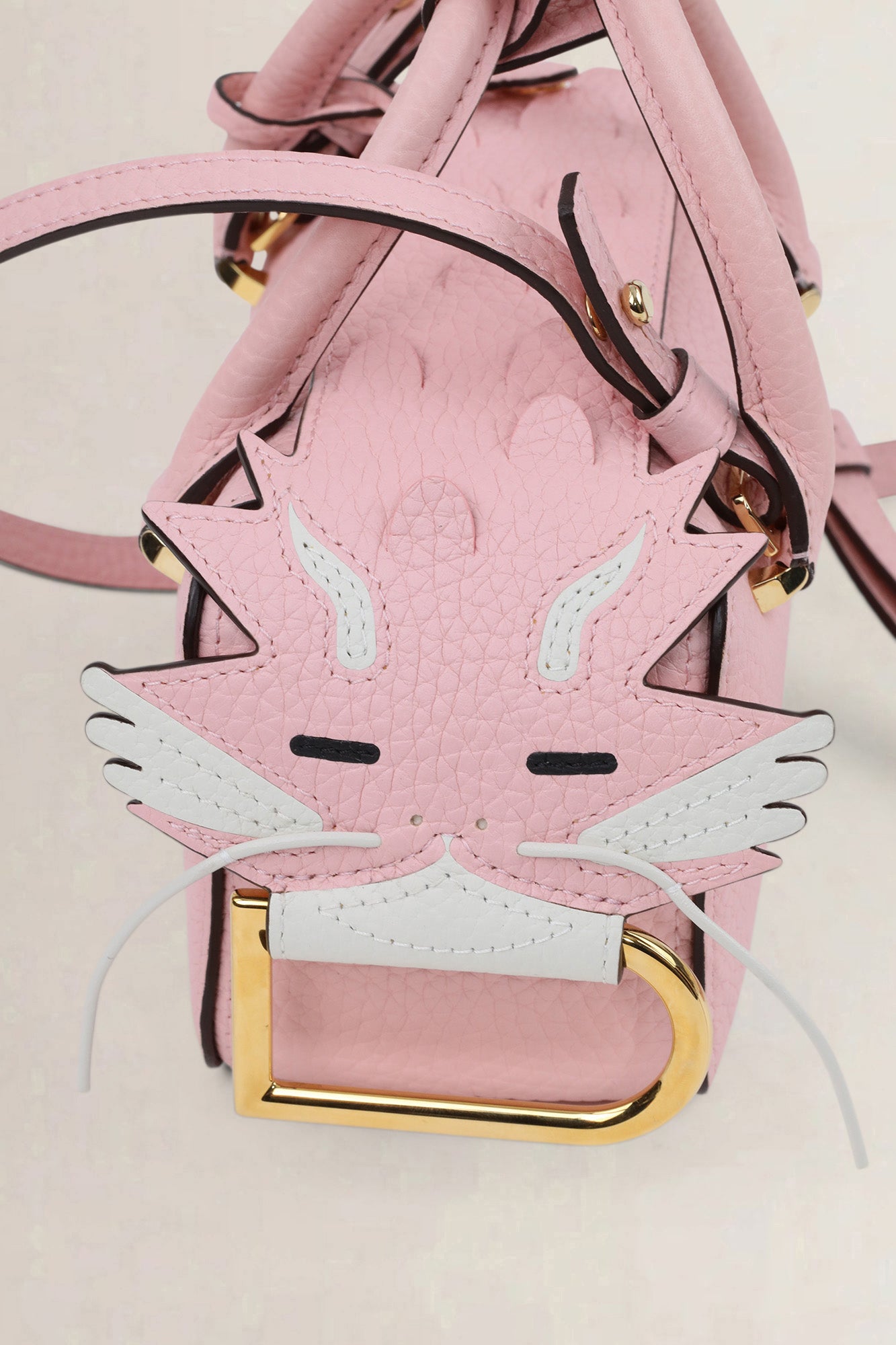 Delvaux Pink Coolbox Limited Edition "Dragon Lunar Year" Crossbody Bag