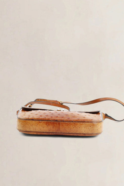 Delvaux Brown Ostrich Crossbody Bag