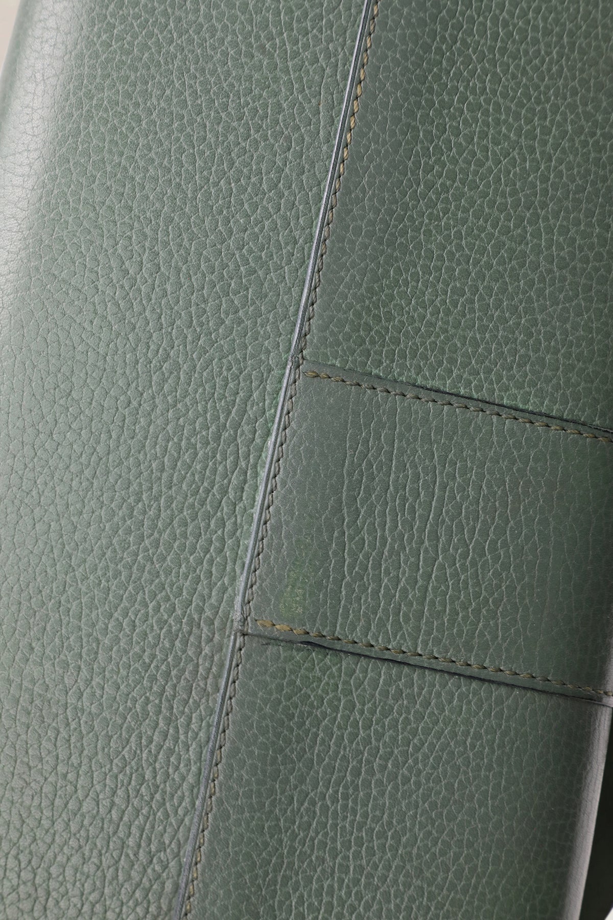 Delvaux Olive Jumping Calf Brillant MM — vintage