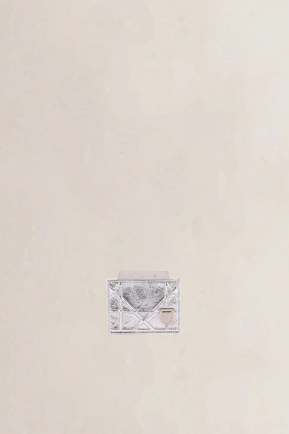 Christian Dior Silver Diorama Card Holder