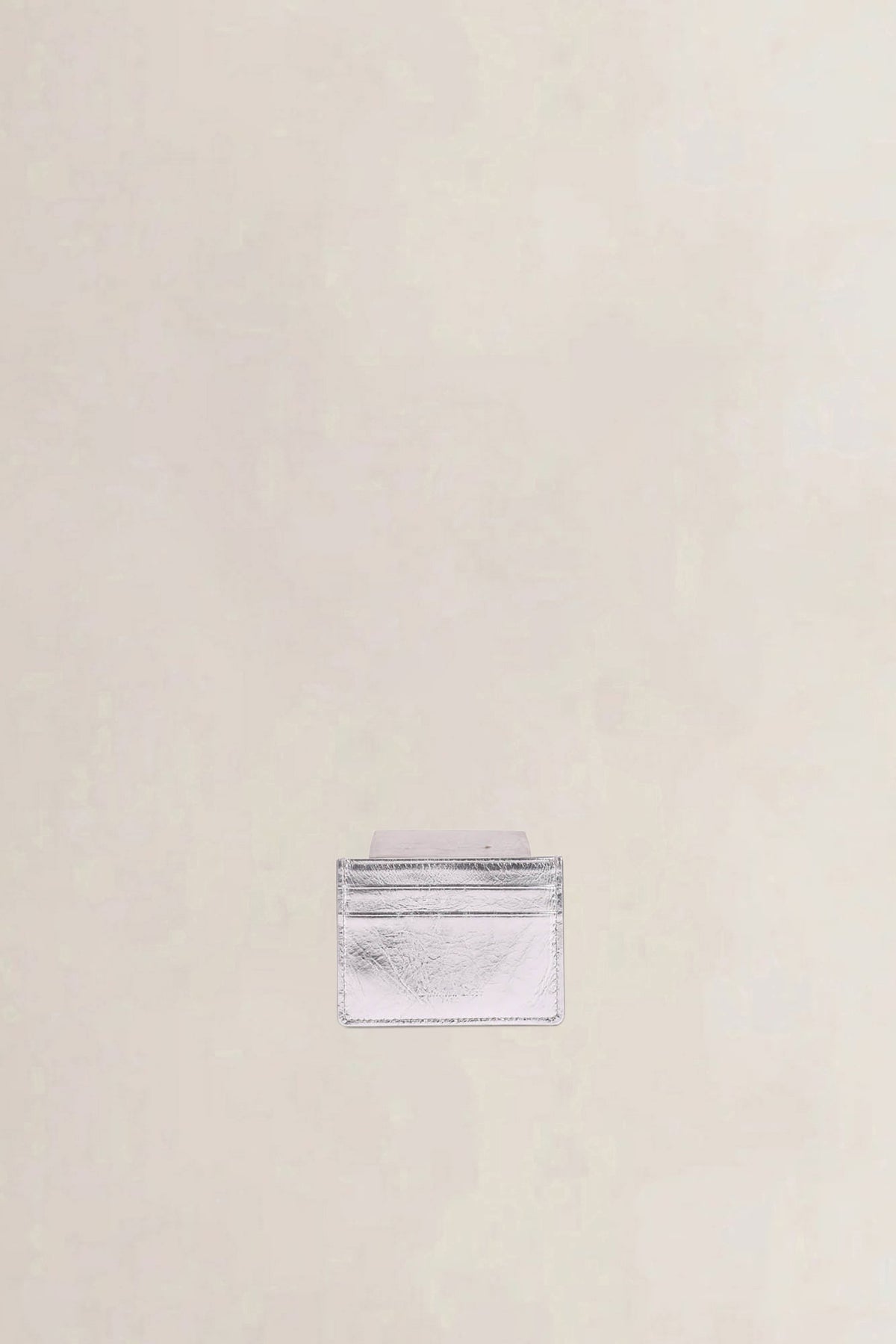 Christian Dior Silver Diorama Card Holder
