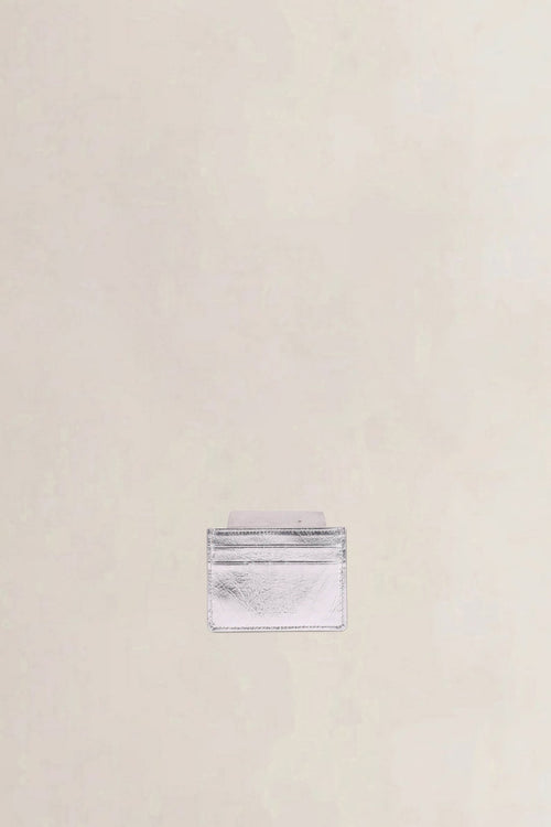 Christian Dior Silver Diorama Card Holder