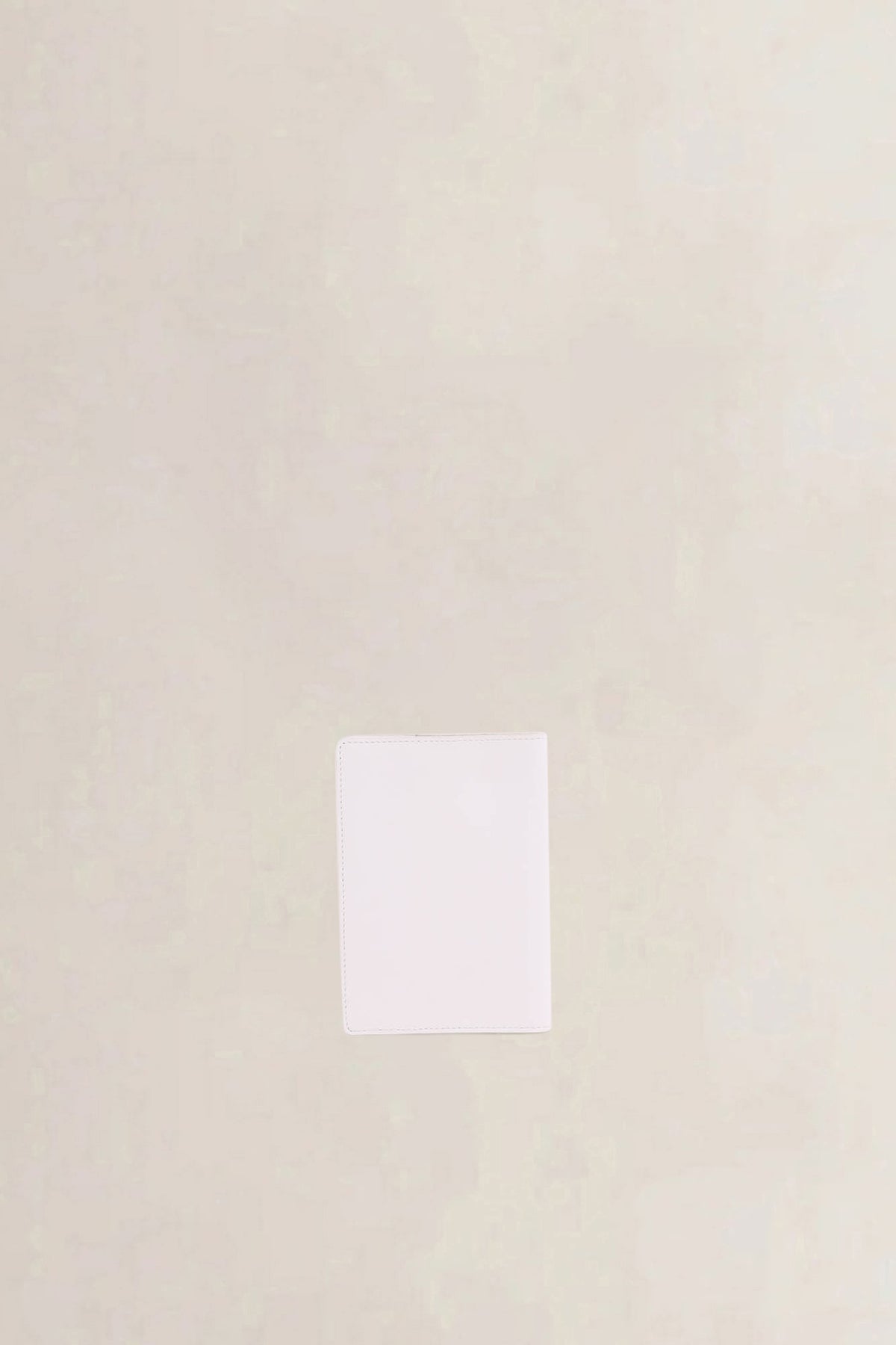 Delvaux White "Citizen of the World" Passport Cover