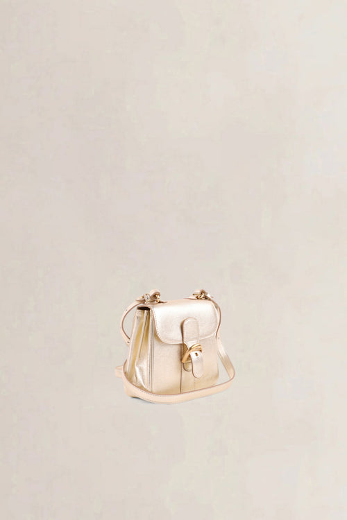 Delvaux Gold Brillant Mini XS Crossbody Bag