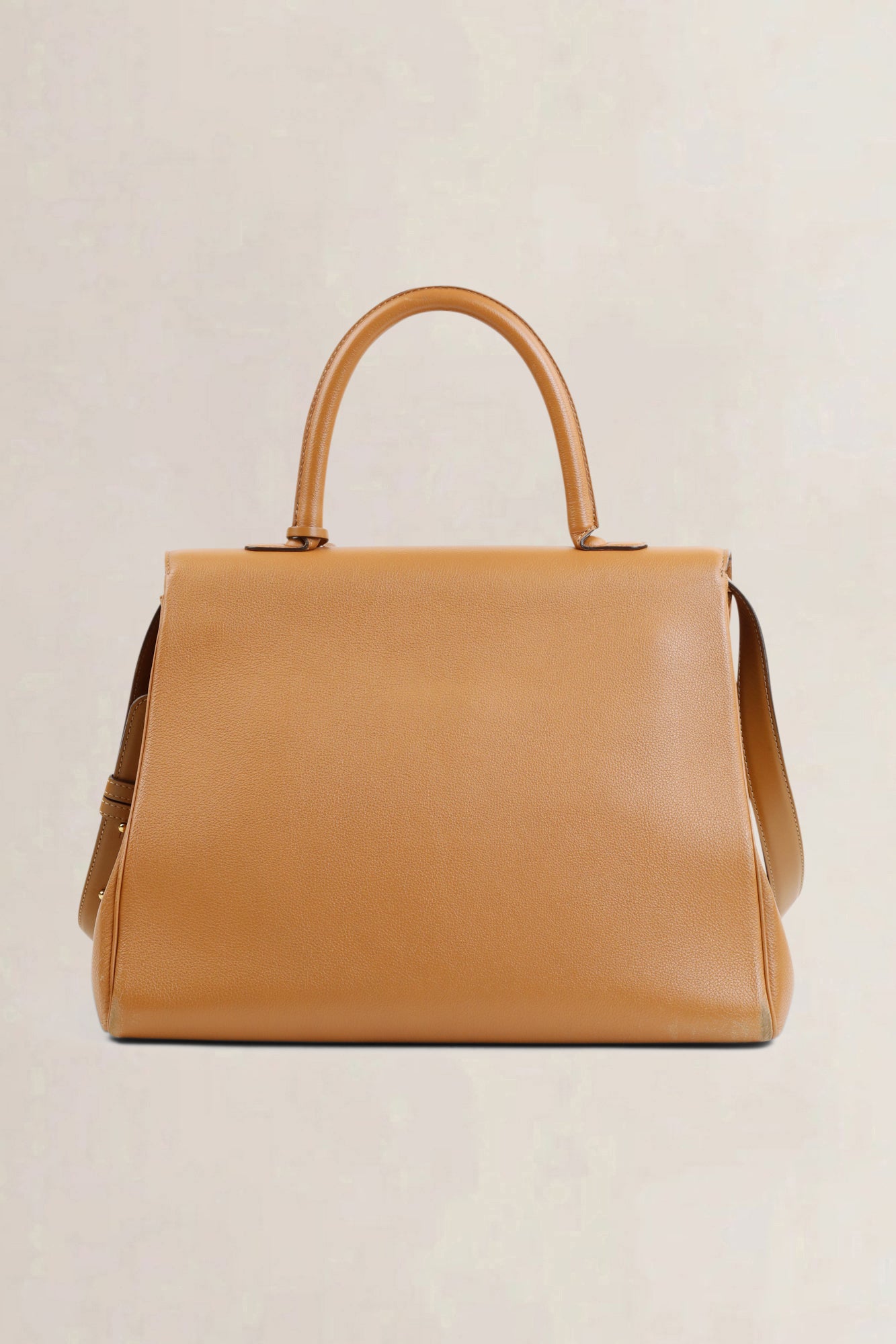 Delvaux Végétal Sellier Brillant GM Crossbody Bag