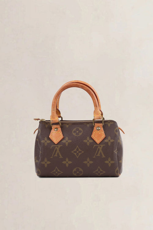 Louis Vuitton Nano Speedy Top Handle Bag