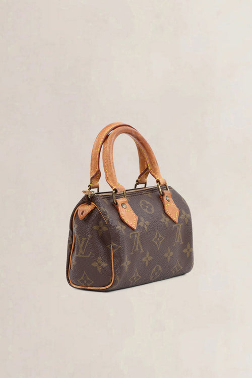 Louis Vuitton Nano Speedy Top Handle Bag