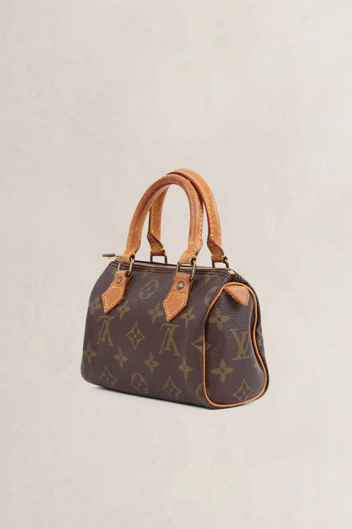 Louis Vuitton Nano Speedy Top Handle Bag