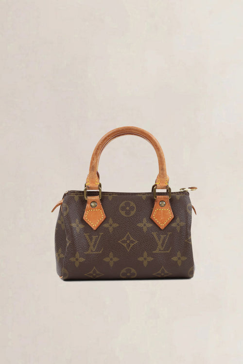 Louis Vuitton Nano Speedy Top Handle Bag