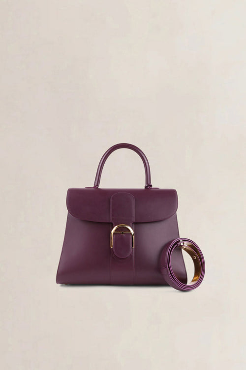 Delvaux Purple & Gold Brillant GM Crossbody Bag