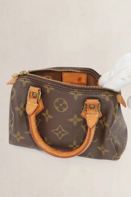 Louis Vuitton Nano Speedy Top Handle Bag