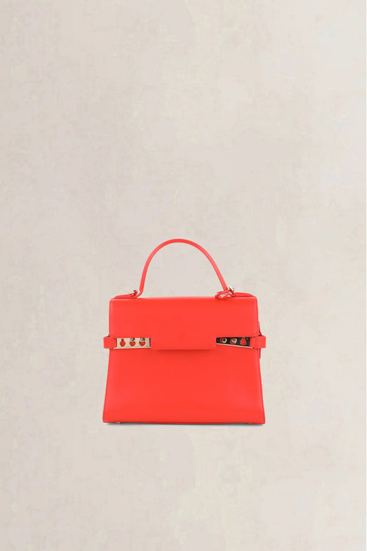 Delvaux Piment Tempête Calf Souple MM Crossbody Bag