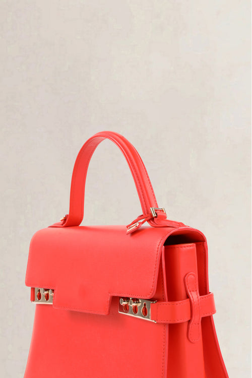 Delvaux Piment Tempête Calf Souple MM Crossbody Bag