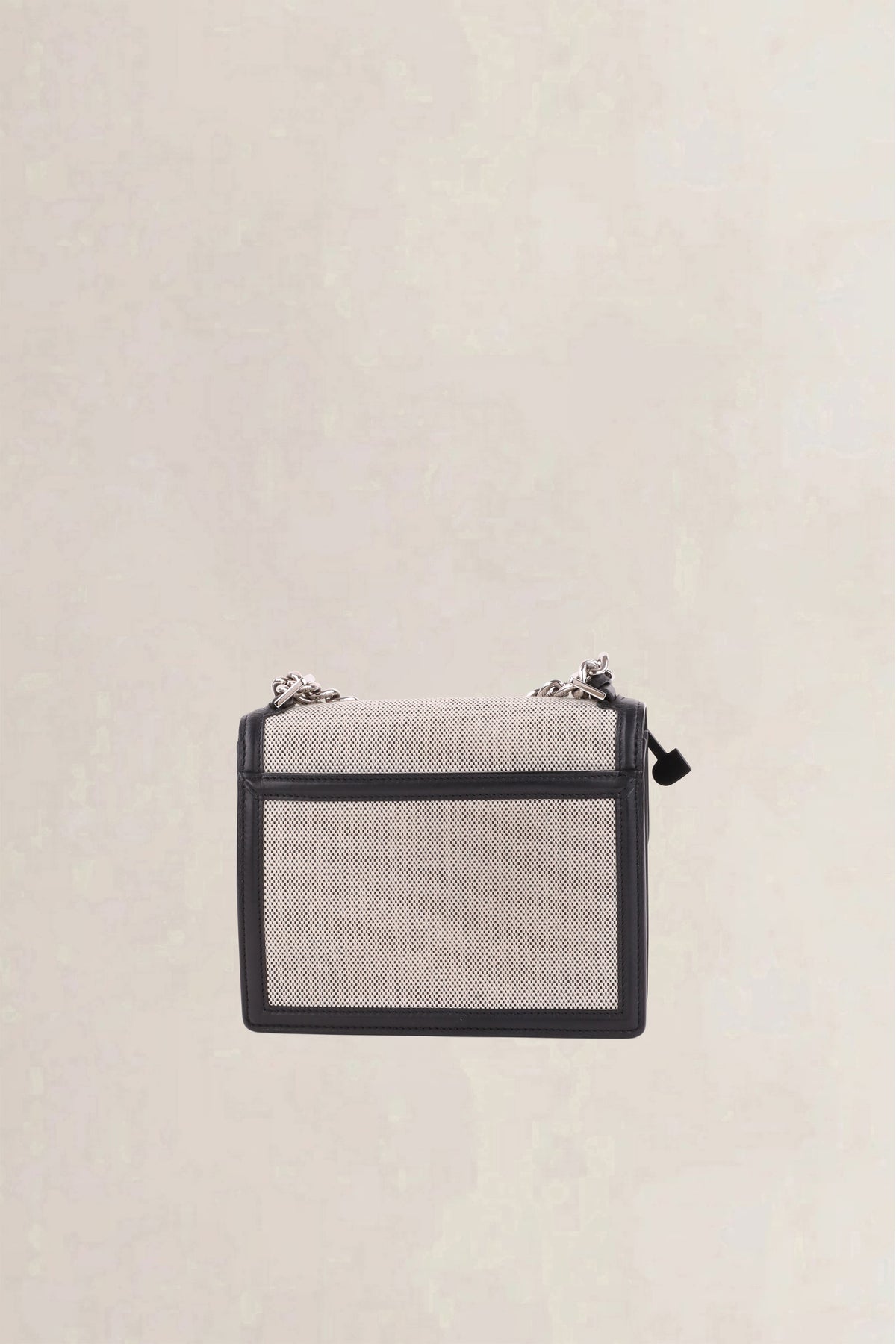 Delvaux Grey Madame Mini Canvas Crossbody Bag