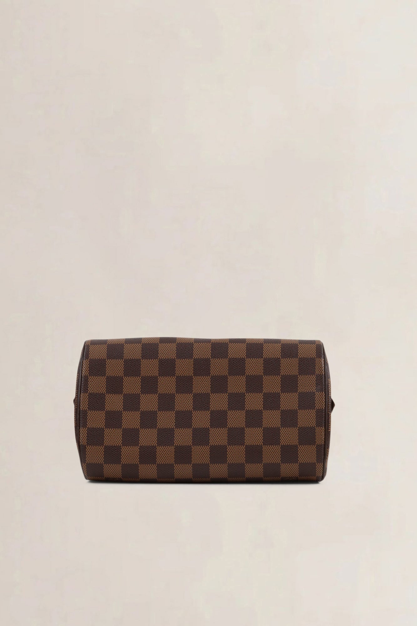 Louis Vuitton Damier Ebene Ribera Mini — vintage