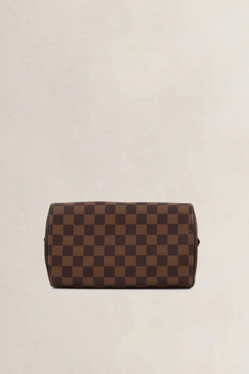 Louis Vuitton Damier Ebene Ribera Mini Top Handle Bag