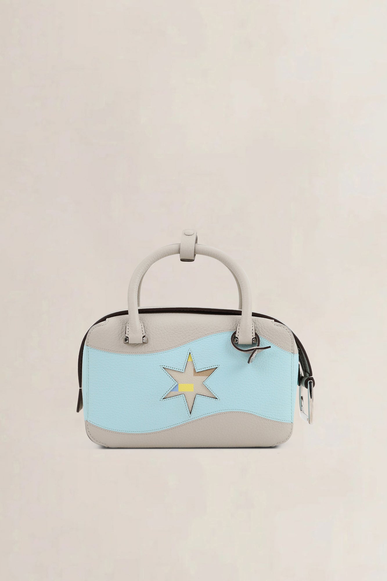 Delvaux Coolbox Mini Limited Edition Oriflamme Crossbody Bag