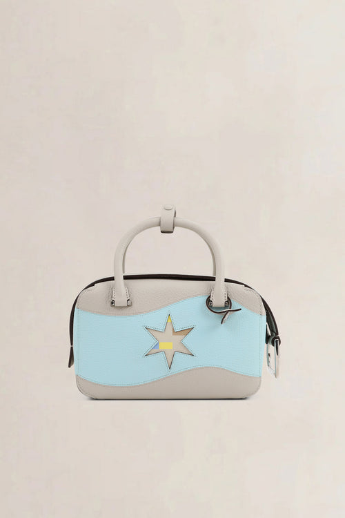 Delvaux Coolbox Mini Limited Edition Oriflamme Crossbody Bag