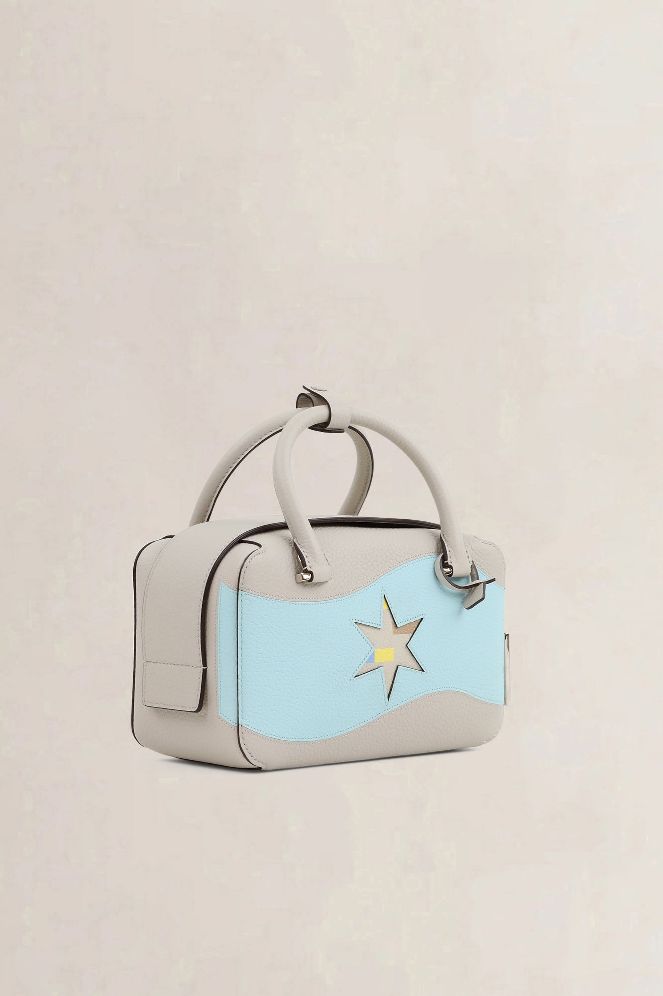 Delvaux Coolbox Mini Limited Edition Oriflamme Crossbody Bag