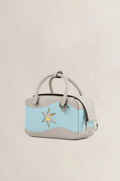 Delvaux Coolbox Mini Limited Edition Oriflamme Crossbody Bag