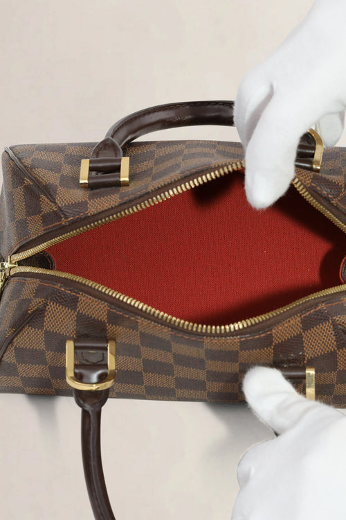 Louis Vuitton Damier Ebene Ribera Mini Top Handle Bag
