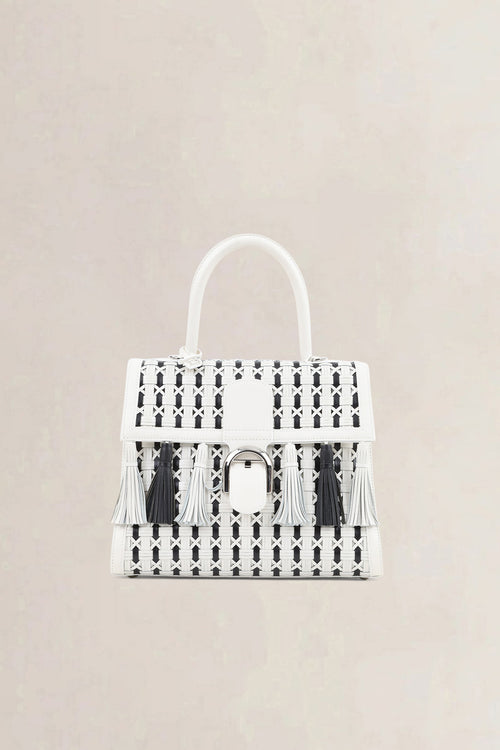 Delvaux Brillant Tzigane MM Limited Edition Crossbody Bag