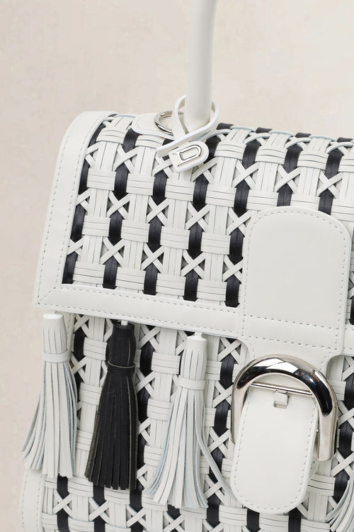 Delvaux Brillant Tzigane MM Limited Edition Crossbody Bag