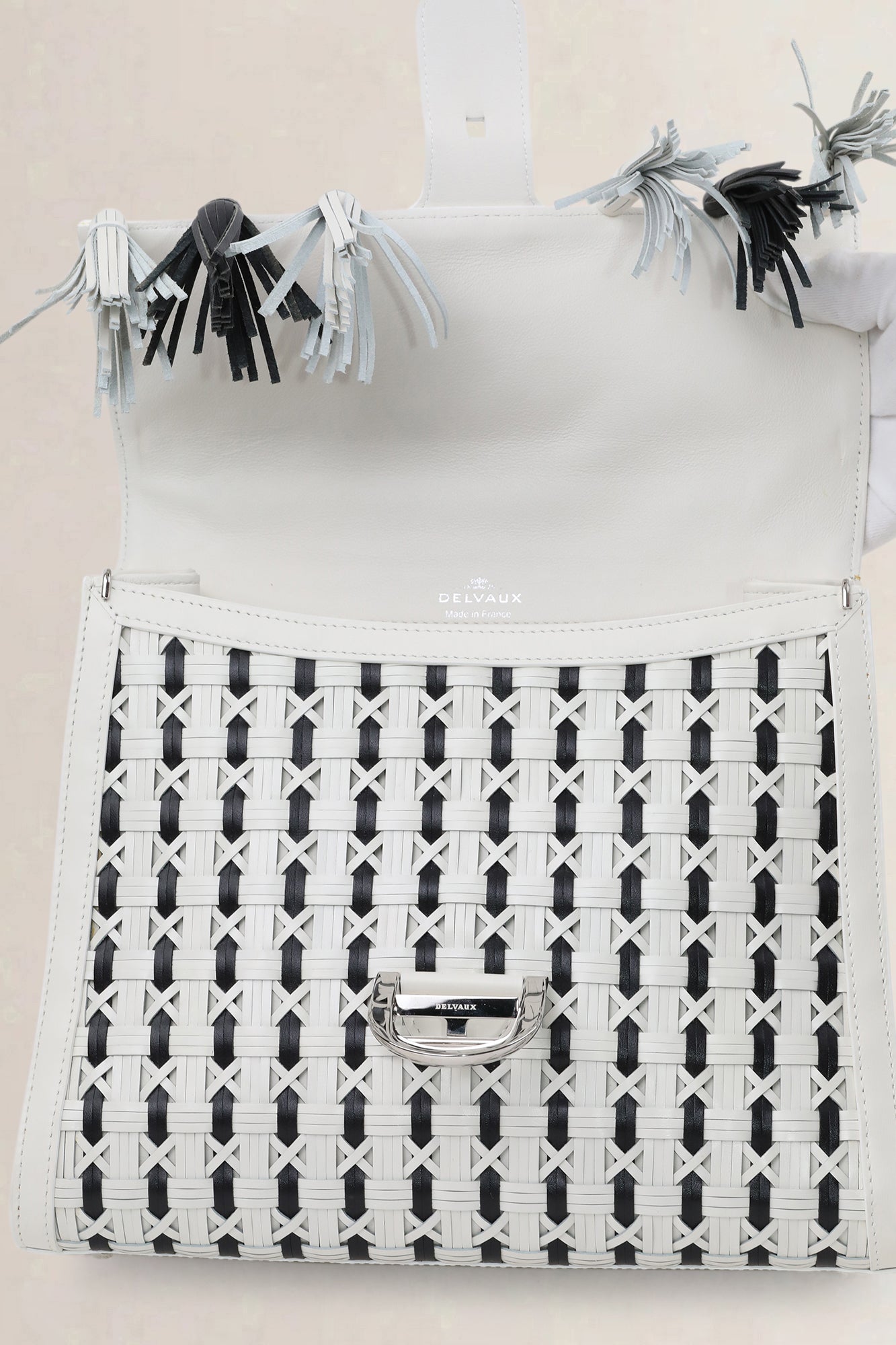 Delvaux Brillant Tzigane MM Limited Edition Crossbody Bag