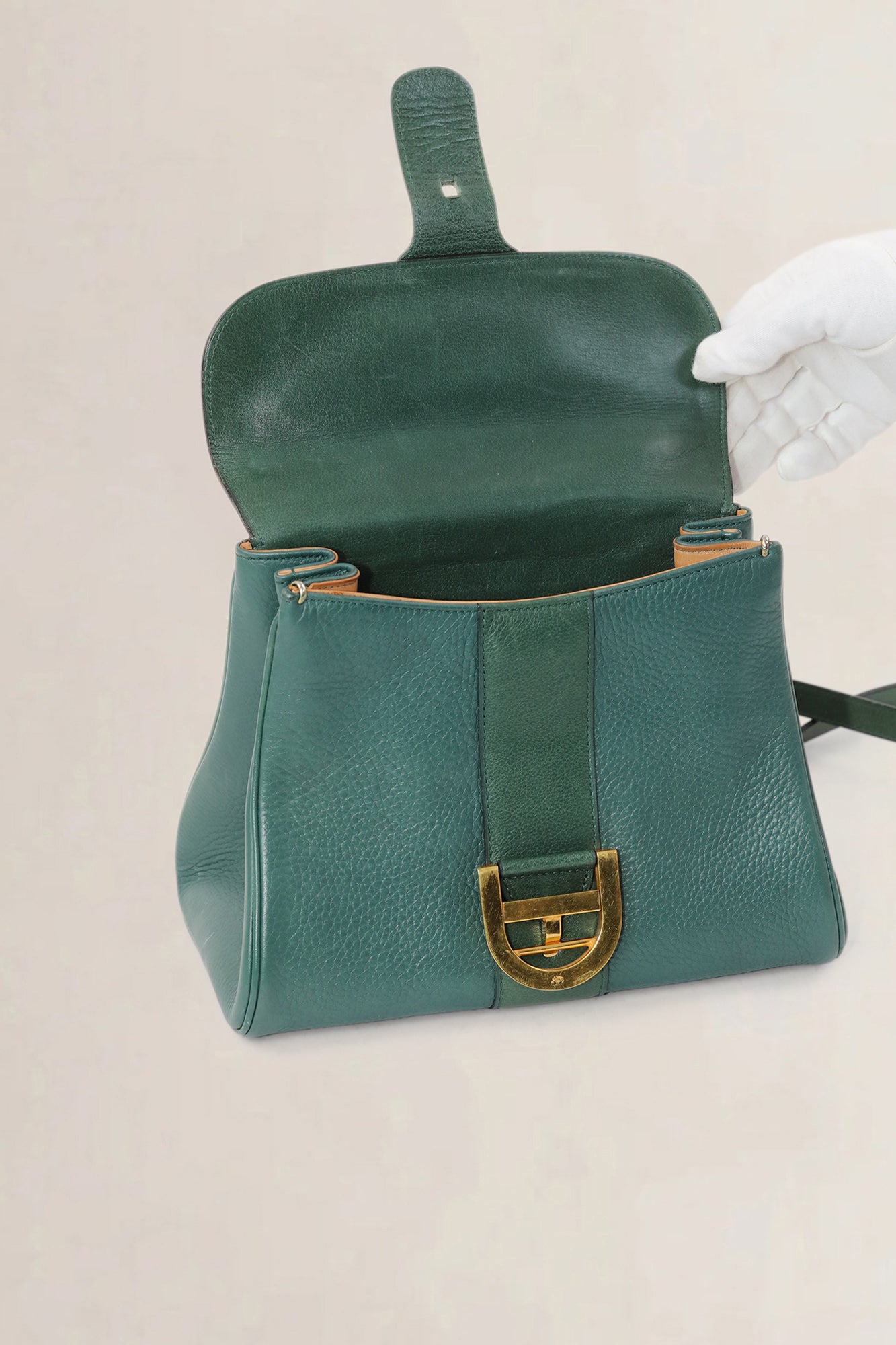 Delvaux Brillant PM Green Crossbody Bag