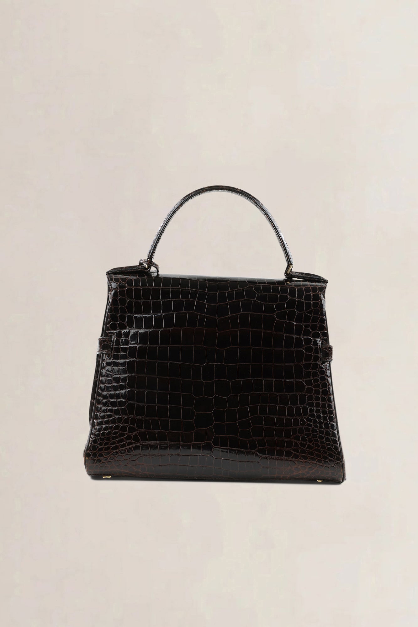 Delvaux Tempête PM brown crocodile — vintage