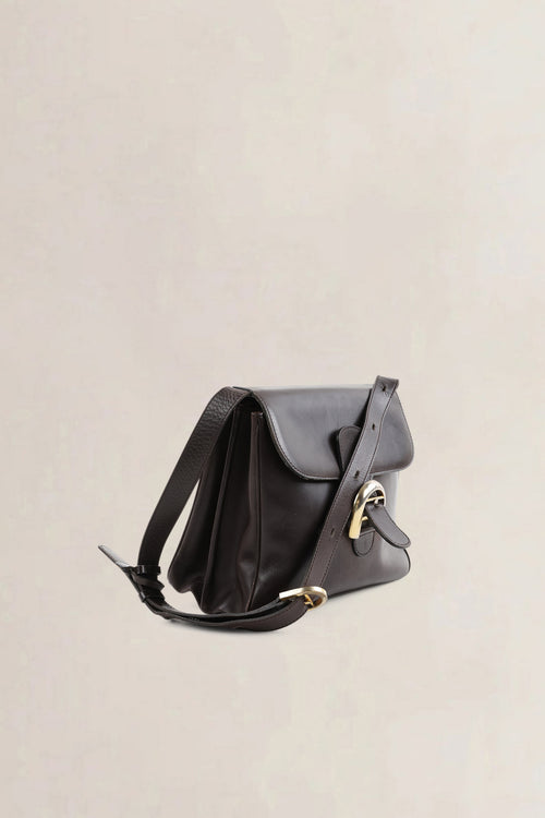 Delvaux Brown Festival Crossbody Bag