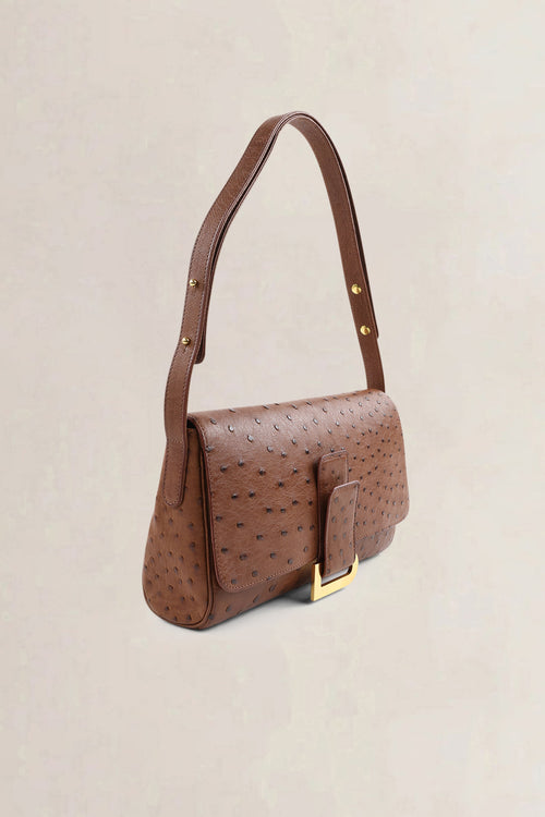 Delvaux Brown Ostrich Leather Passrelle Crossbody Bag