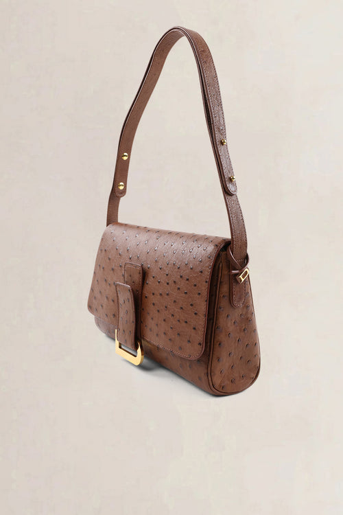 Delvaux Brown Ostrich Leather Passrelle Crossbody Bag