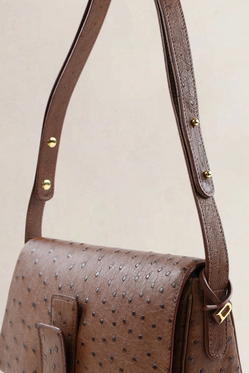 Delvaux Brown Ostrich Leather Passrelle Crossbody Bag